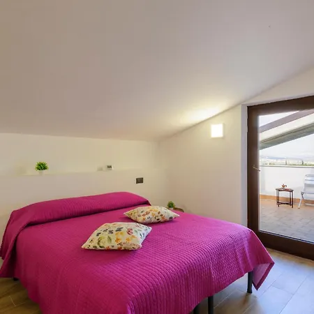 Pet Friendly In With Kitchen