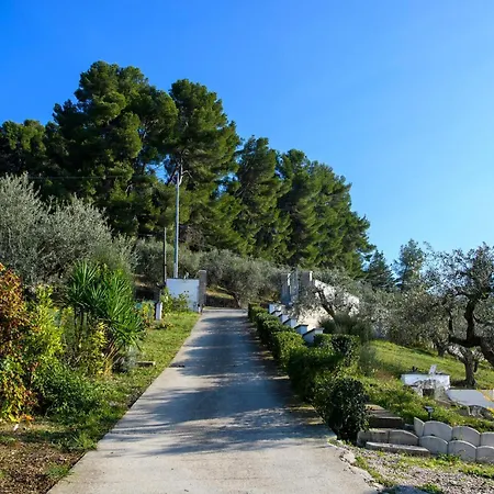 Appartement In With Swimming Pool Moscufo